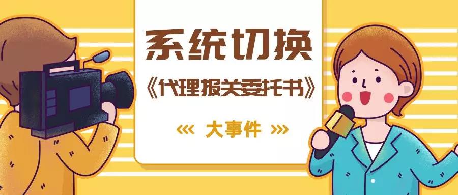 1564044524665559.jpg 1.jpg