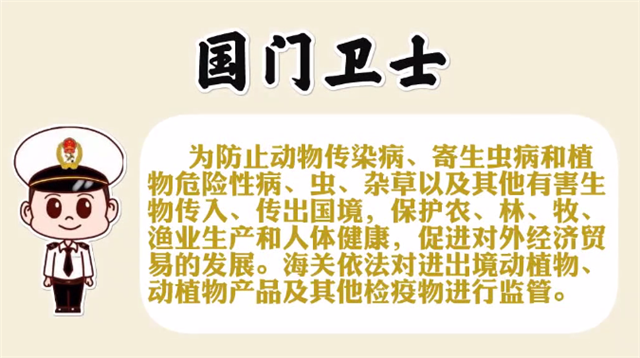 進口豬肉清關(guān)代理