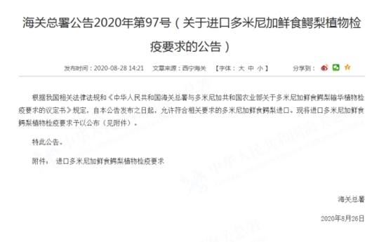 進口多米尼加鱷梨清關