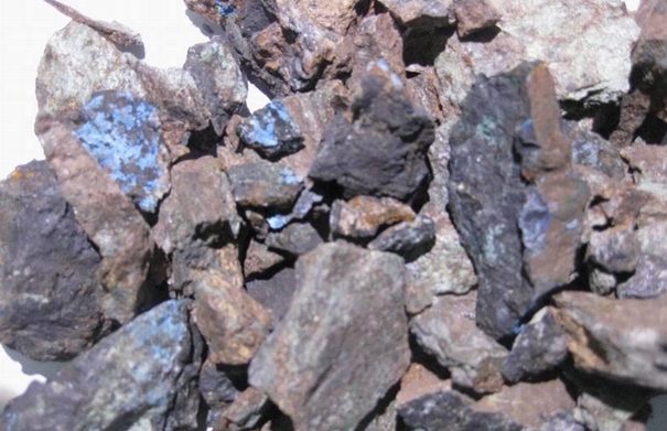 1630059273457222.jpg 上海進(jìn)口礦產(chǎn)品清關(guān)_副本.jpg