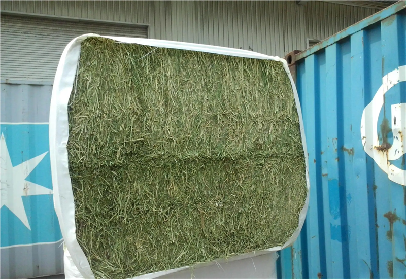 1652697435914949.png 苜蓿草進(jìn)口報(bào)關(guān)代理公司 (2).png