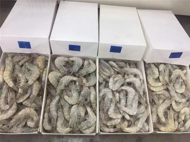 1653038466410863.png 廣州海鮮進口清關.png