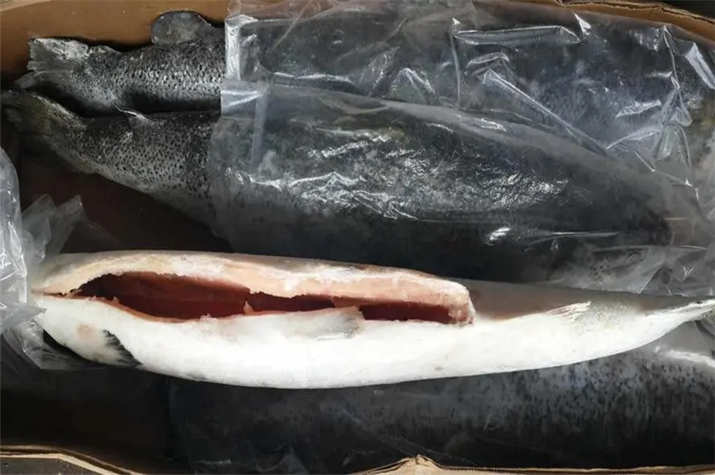 1660559748976858.png 進口挪威三文魚清關.png