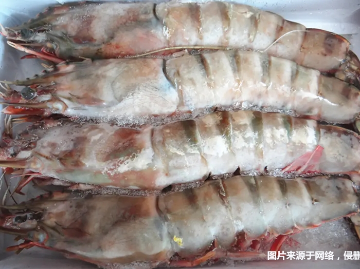 1674901367807640.jpg 冷凍去頭明對蝦進(jìn)口報(bào)關(guān)_副本.jpg